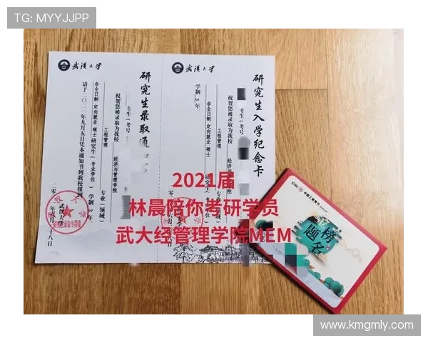 武汉羽毛球队挑战赛表现分析与状态评估全面解读