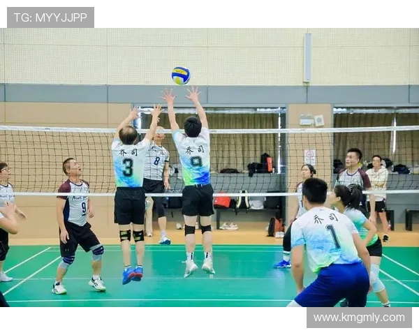 杭州排球队在欧锦赛中的技术表现分析与点评