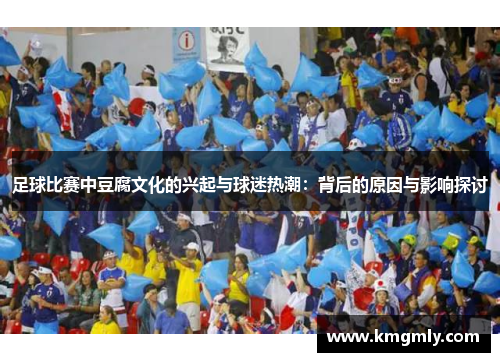 足球比赛中豆腐文化的兴起与球迷热潮：背后的原因与影响探讨
