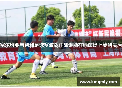塞尔维亚与智利足球赛激战正酣谁能在绿茵场上笑到最后